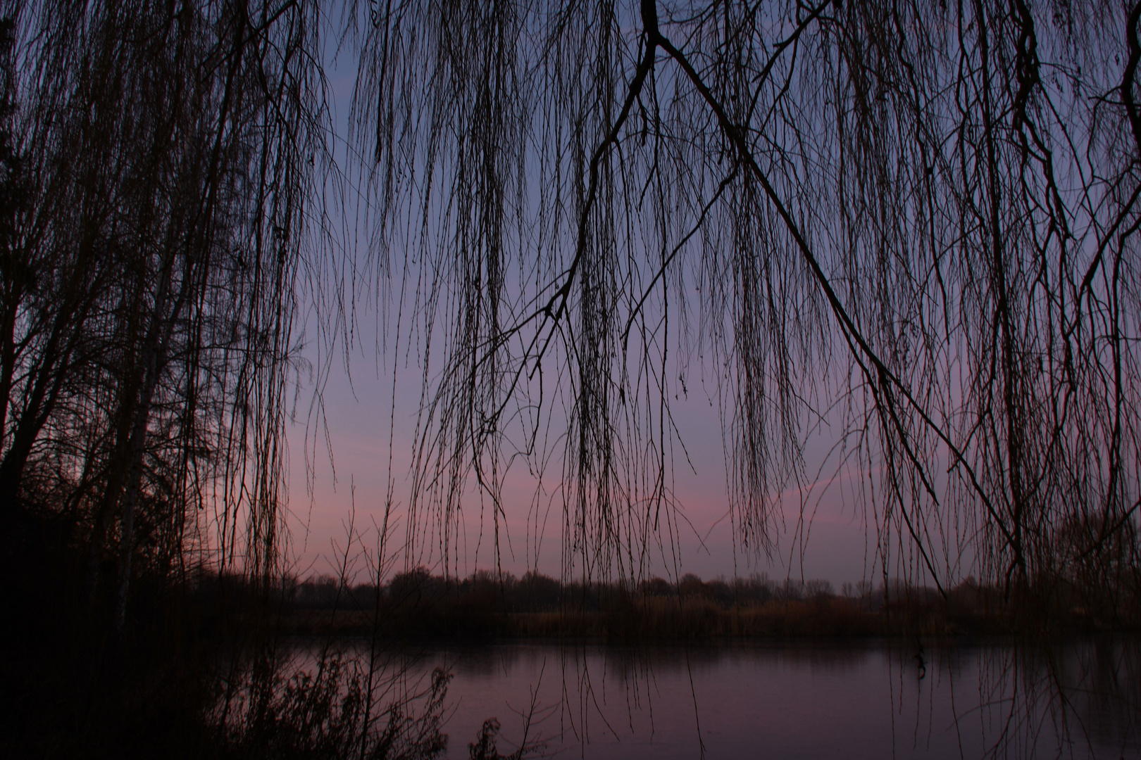 Abends Am Teich