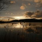 Abends am Tündern See