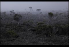 Abends am Vulkan