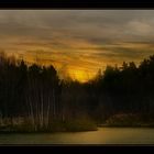 Abends am Waldsee