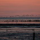 Abends am Wattenmeer