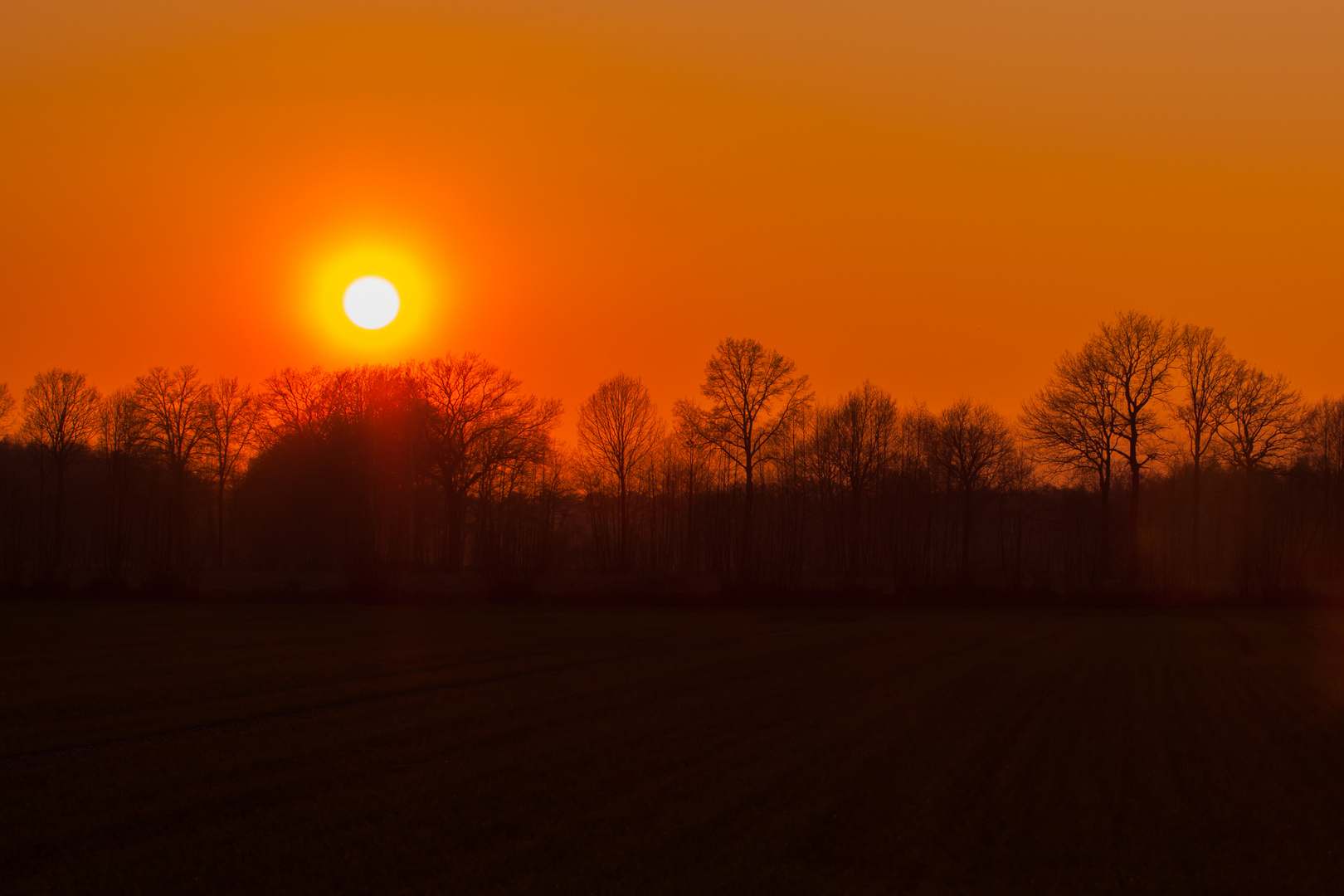 Abends am Wegesrand