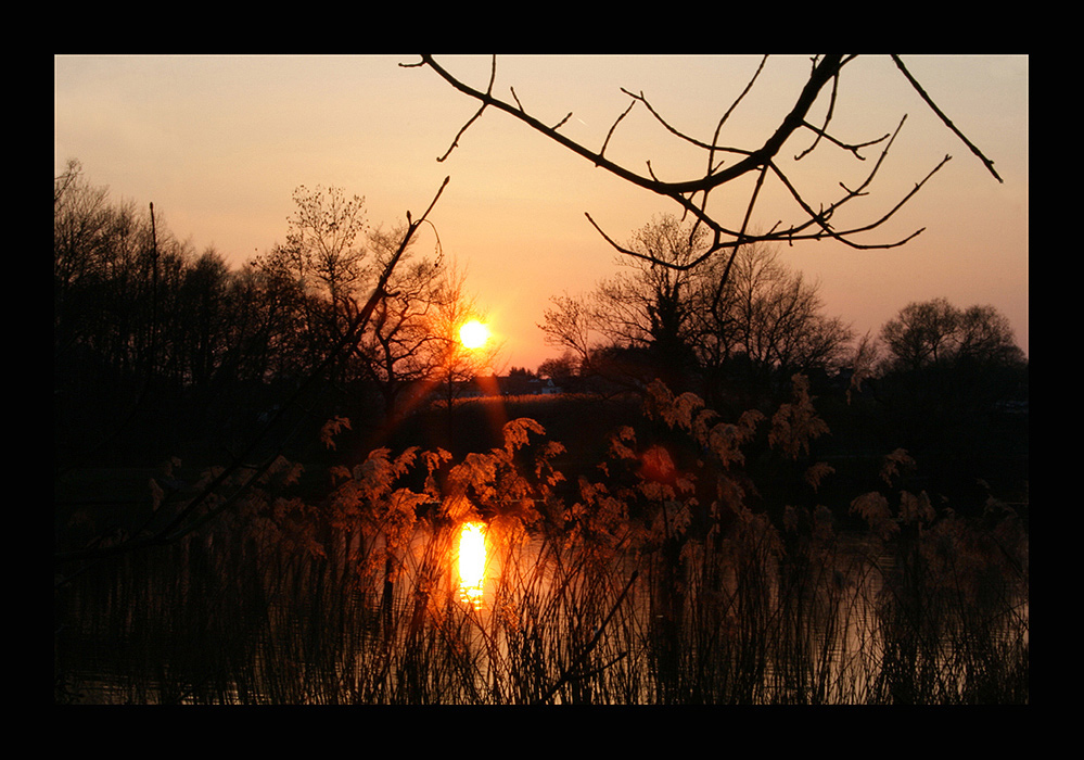 Abends am Weiher