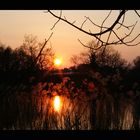 Abends am Weiher