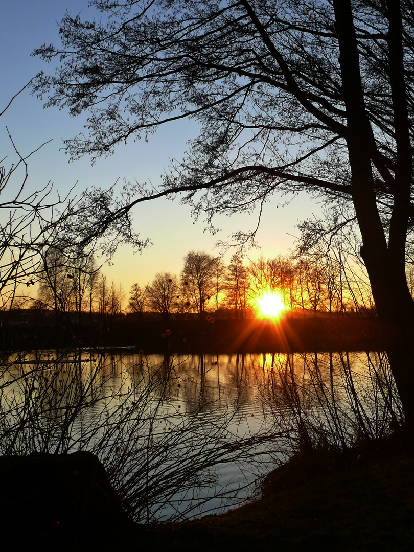 Abends am Weiher...