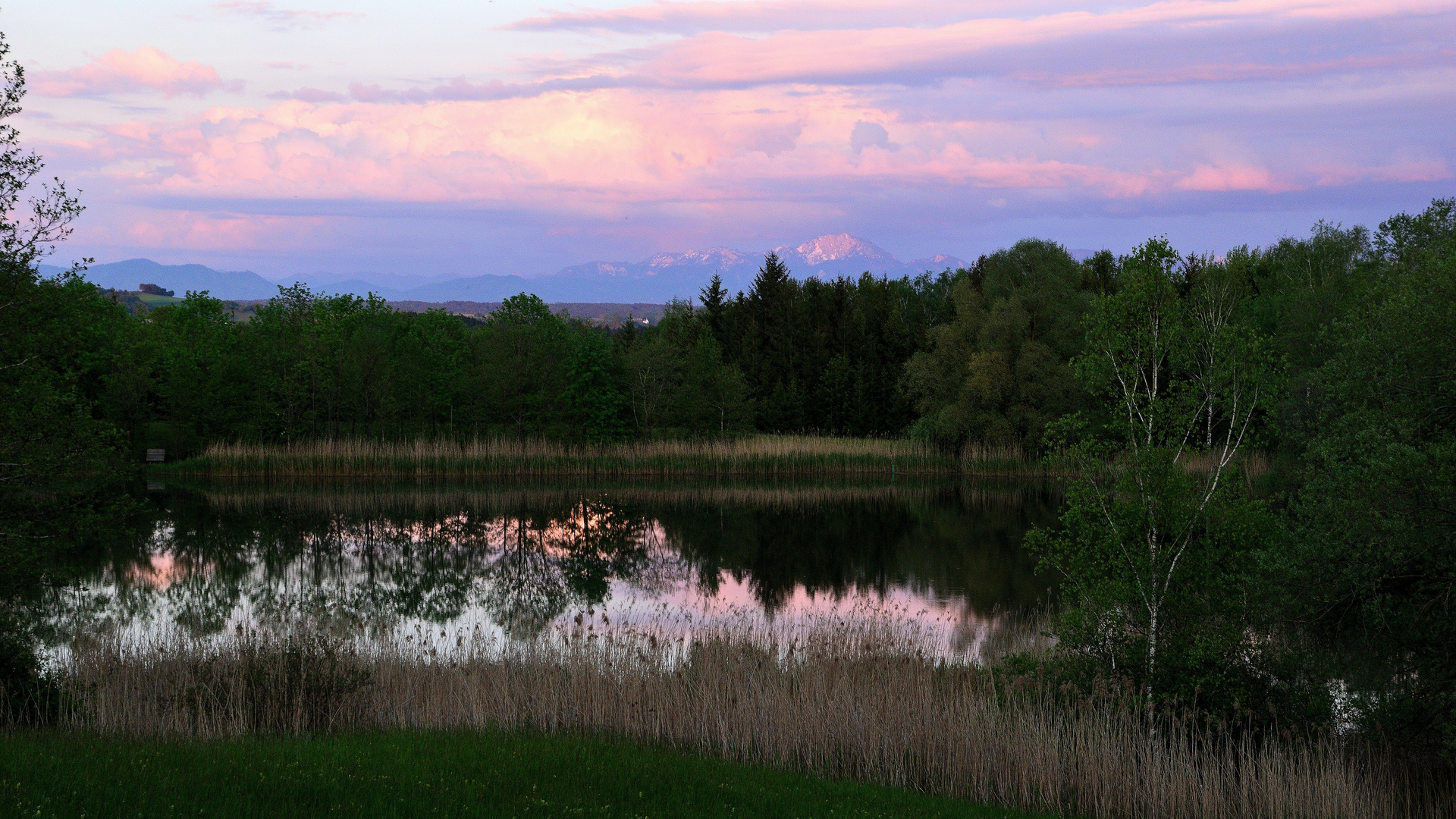 Abends am Weiher...