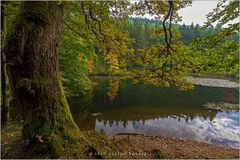 Abends am Weiher