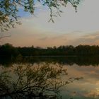 Abends am Weiher