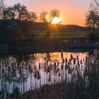 Abends am Weiher