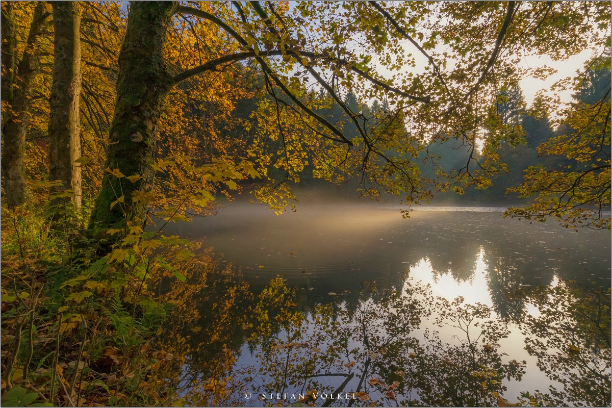 Abends am Weiher