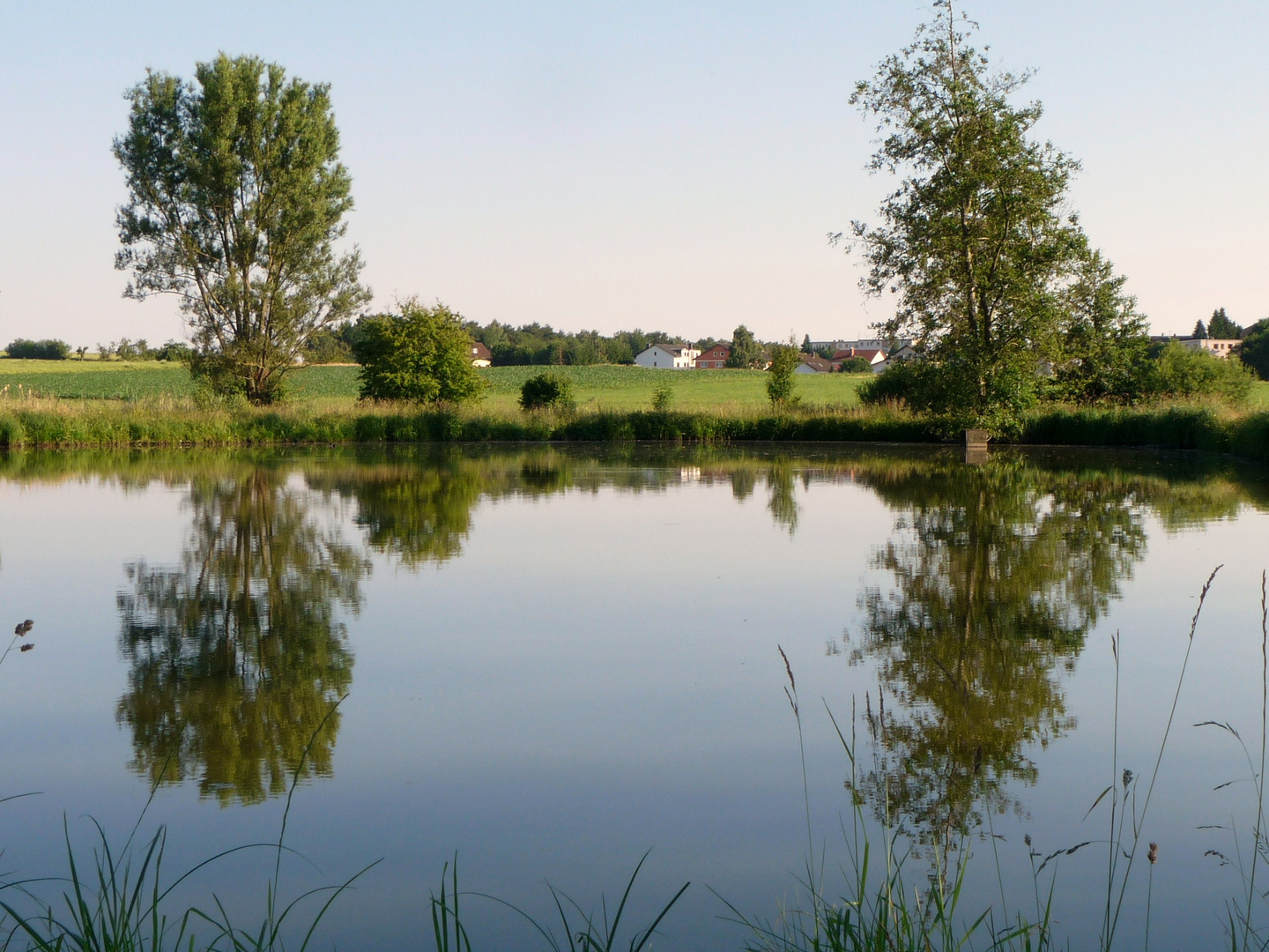 Abends am Weiher