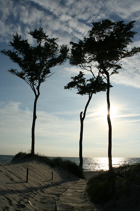 Abends am Weststrand Darßer Ort (Ostsee)