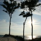 Abends am Weststrand Darßer Ort (Ostsee)