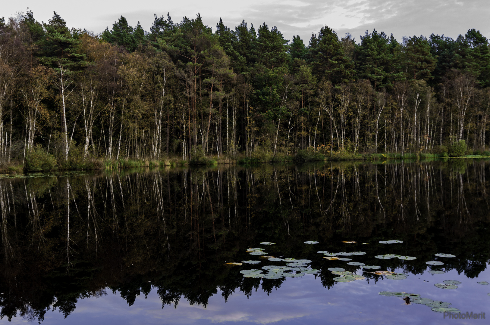 Abends am Wienpietschsee