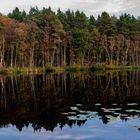 Abends am Wienpietschsee