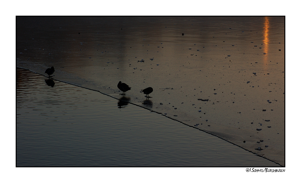 Abends am Wöhrsee