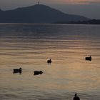 Abends am Wörthersee