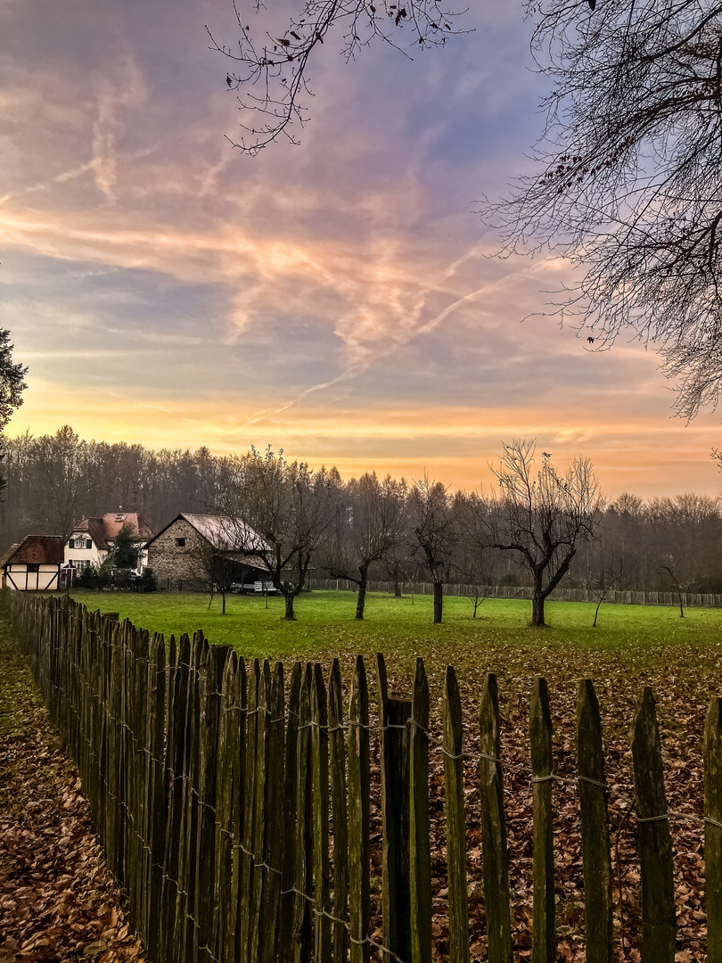 Abends, am Zaun