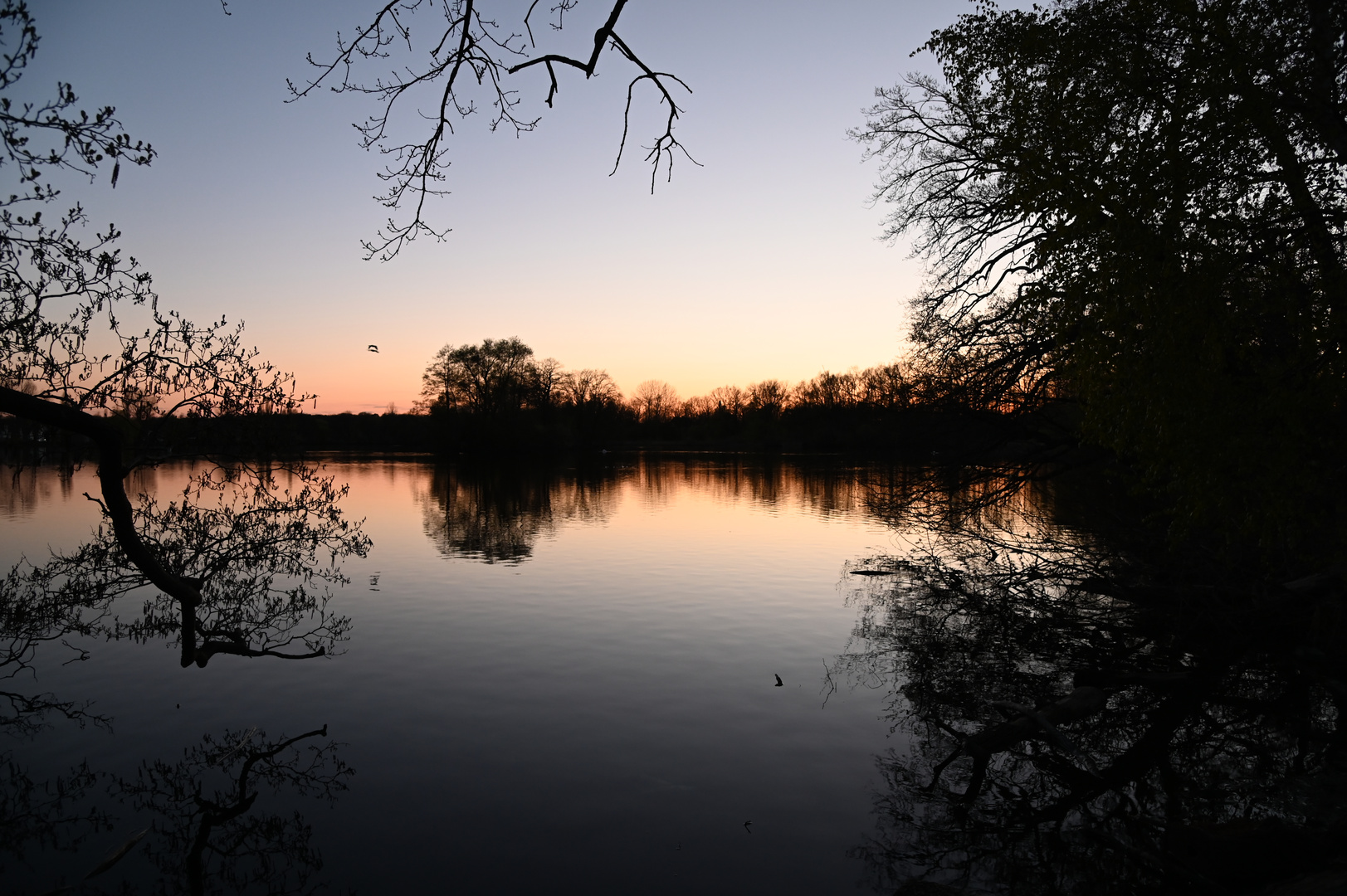 Abends an den Kreuzteichen...