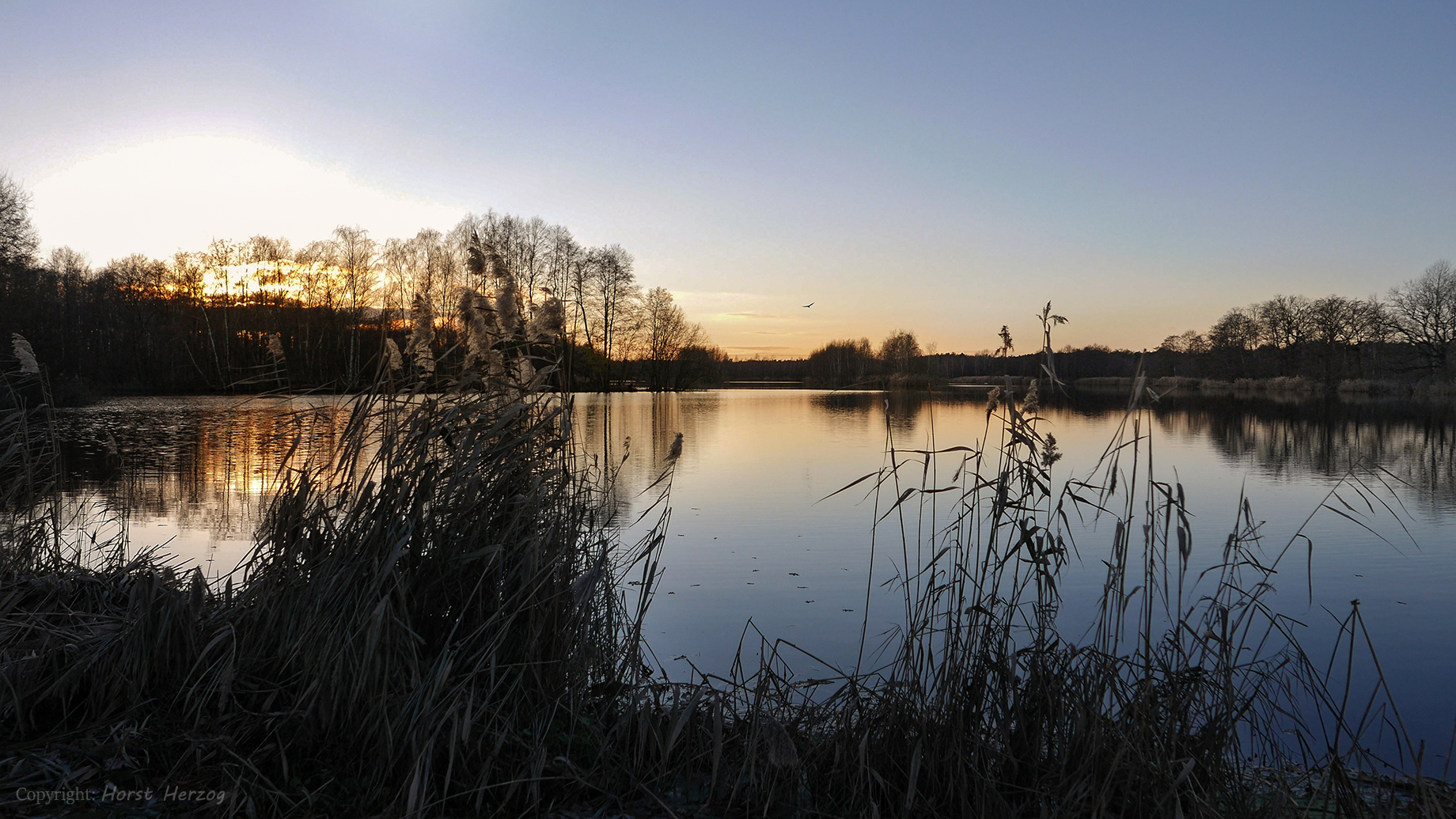 Abends an den Teichen