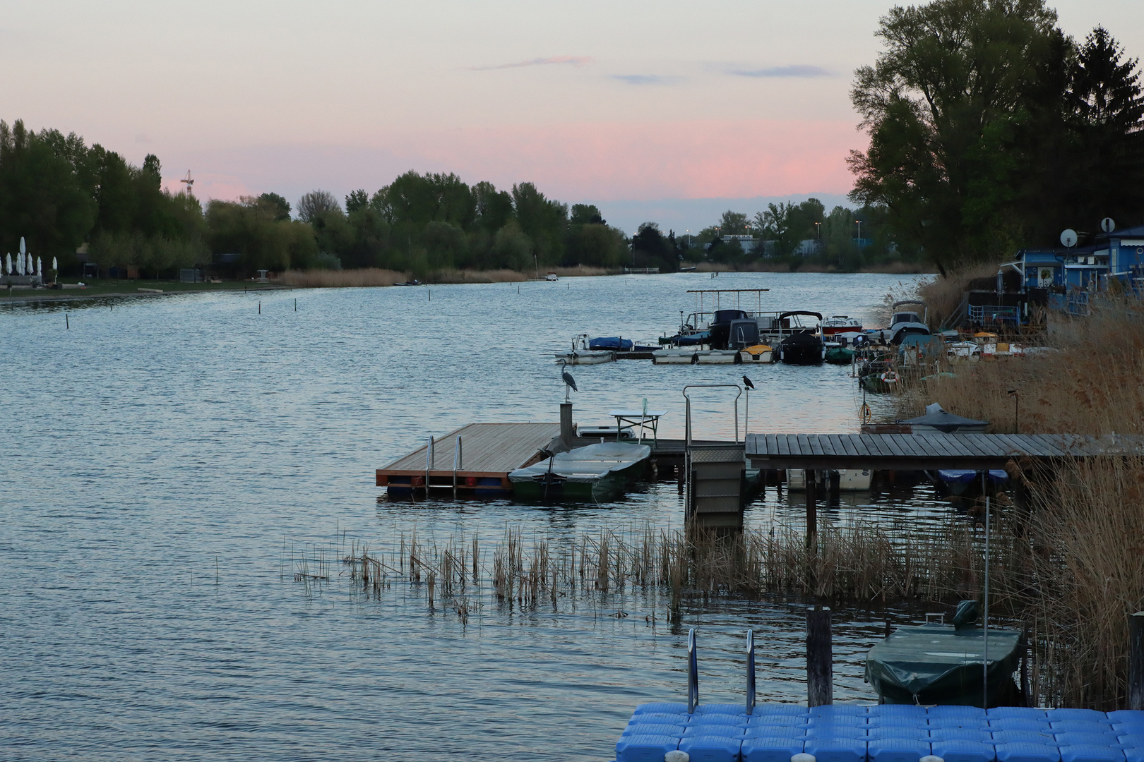 Abends an der Alten Donau