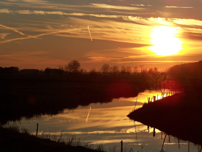 Abends an der Au