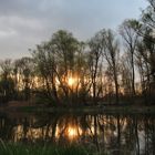 Abends an der Donau in der Wachau