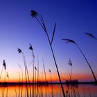 Abends an der Elbe