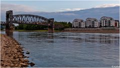 Abends an der Elbe