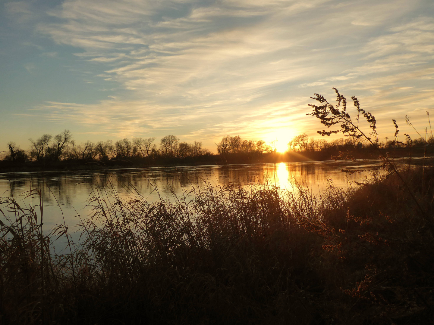 Abends an der Elbe