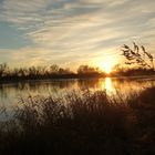 Abends an der Elbe