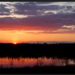 ...Abends an der Elbe...