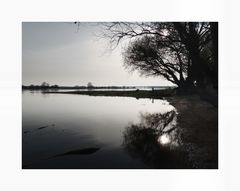 Abends an der Elbe