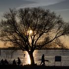 abends an der Elbe