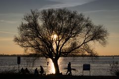 abends an der Elbe