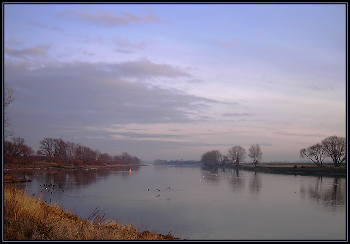 ~ Abends an der Elbe ~