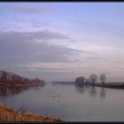 ~ Abends an der Elbe ~