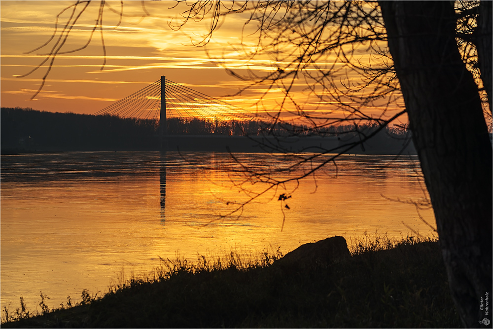 Abends an der Elbe