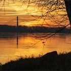 Abends an der Elbe