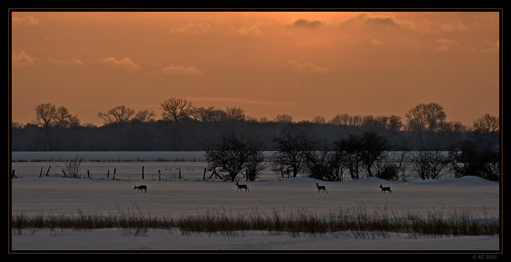 Abends an der Elbe...