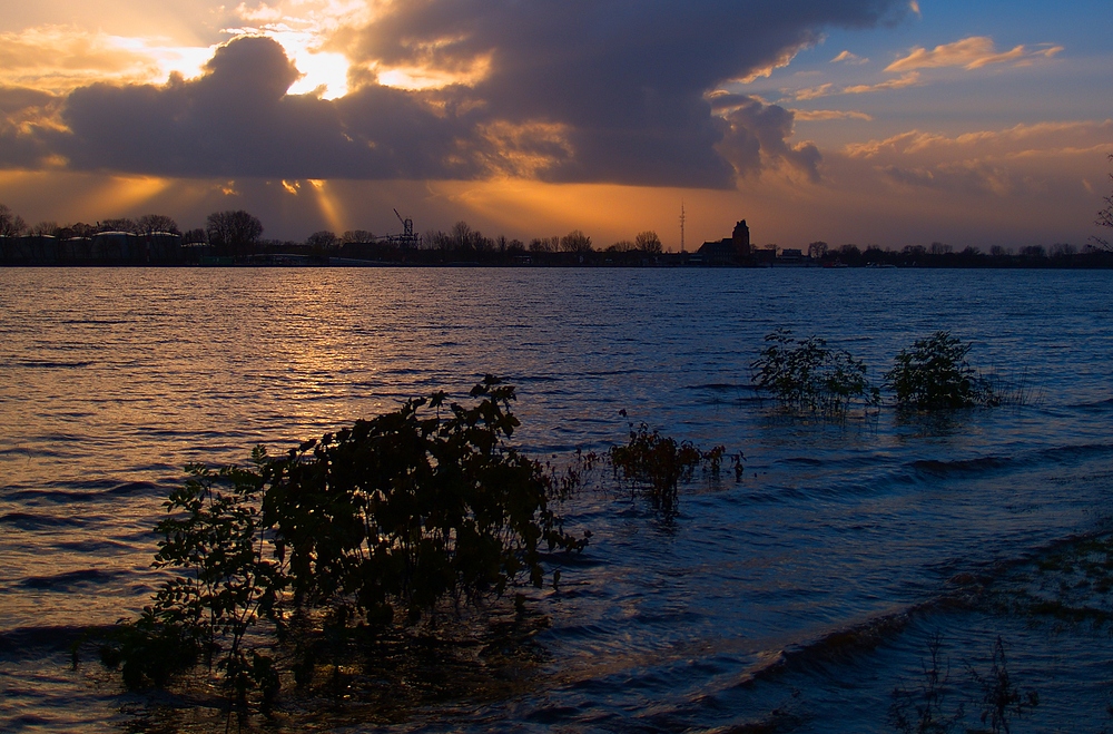 Abends an der Elbe bei Hochwasser