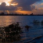 Abends an der Elbe bei Hochwasser