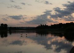 Abends an der Elbe in Dresden