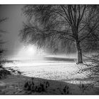 Abends an der Greenwichpromenade 1