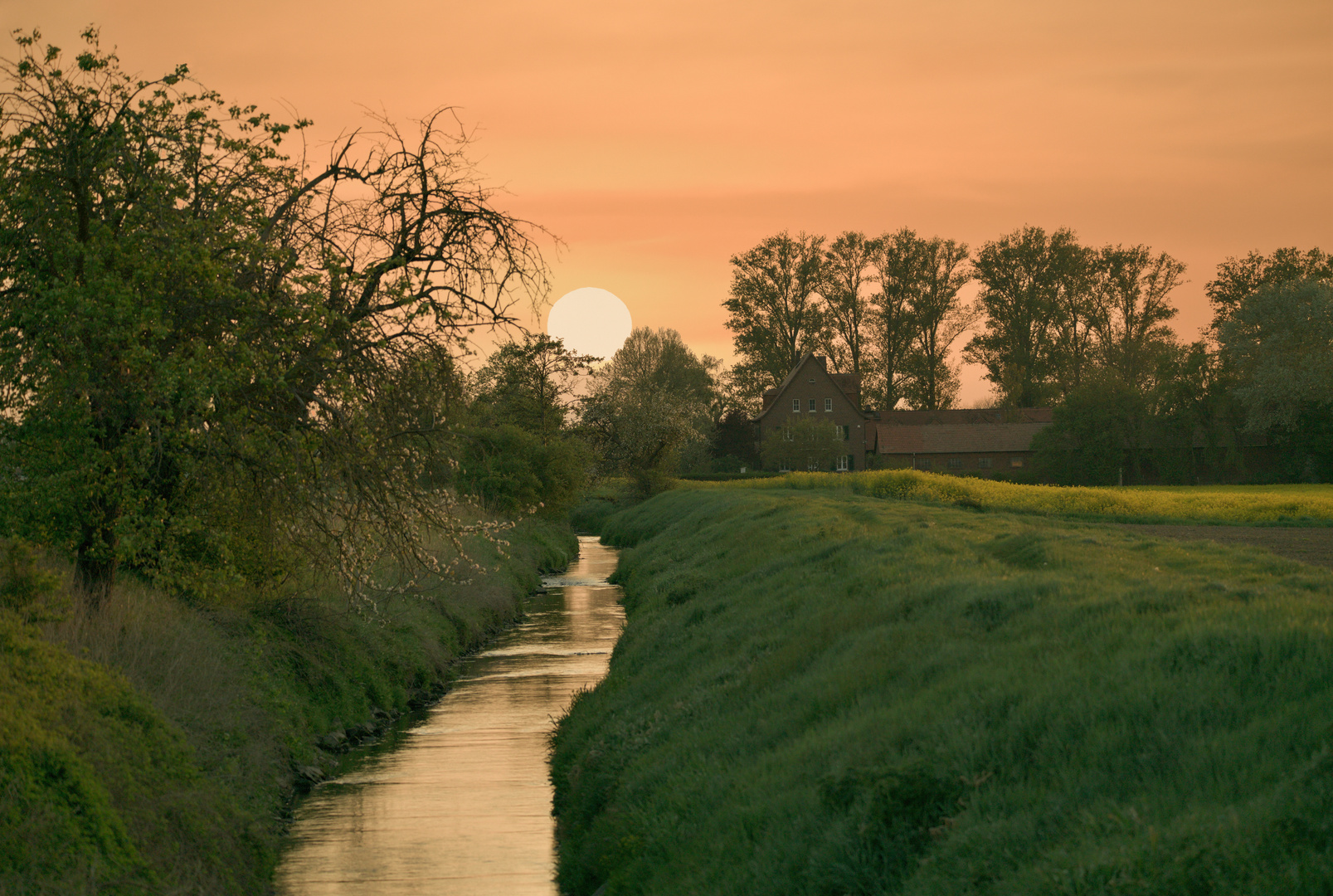 Abends an der Modau