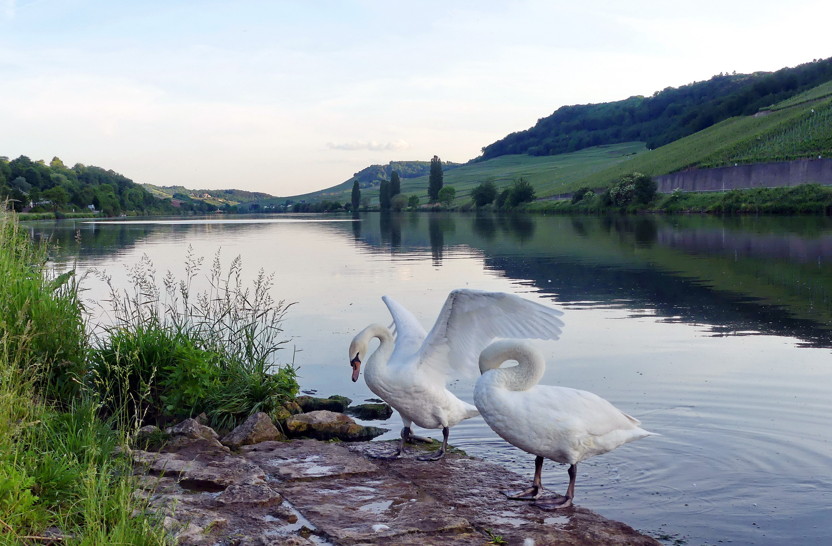 Abends an der Mosel