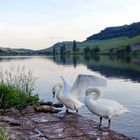 Abends an der Mosel