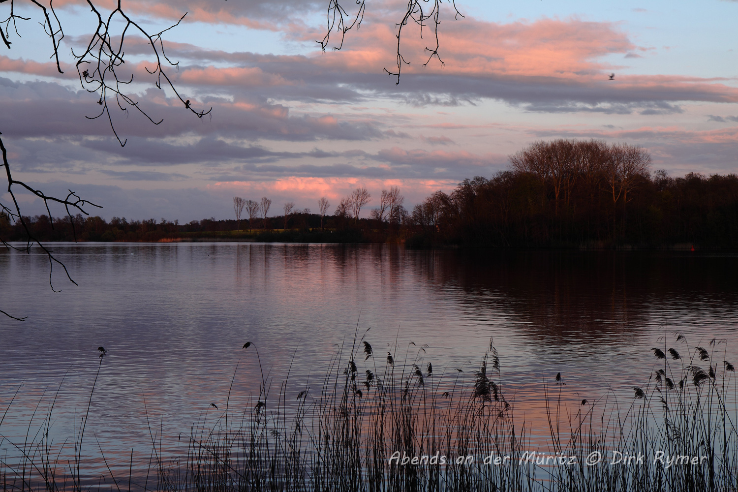 Abends an der Müritz