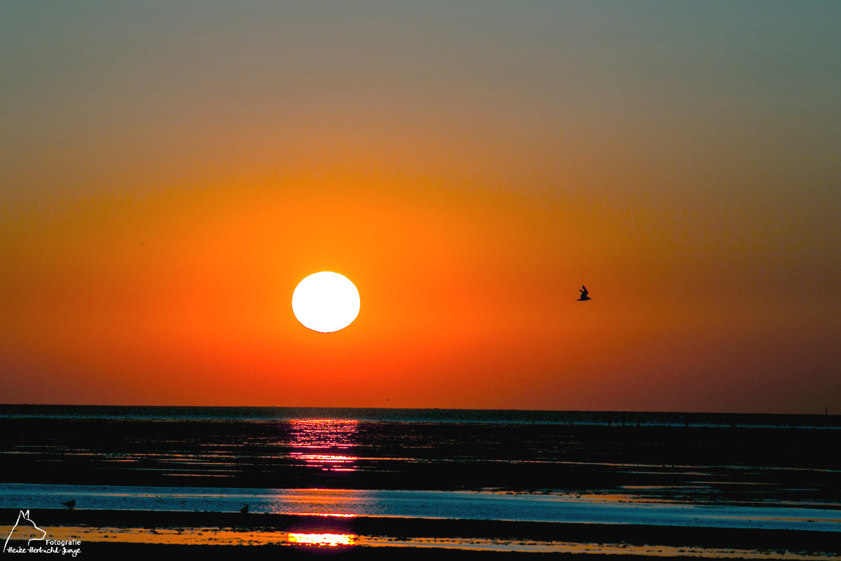 Abends an der Nordsee