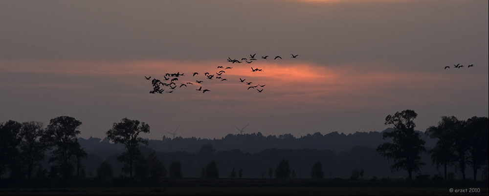 Abends an der Oder...